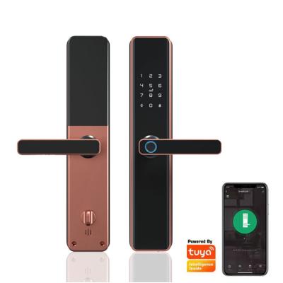 China Durable high ttlock Keyless wifi tuya security door lock fingerprint digital smart door handle lock for sale