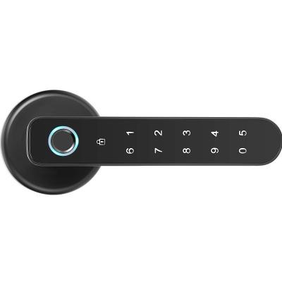 China Household fingerprint code lock office lock electronic indoor security smart door lock DL1053 for sale