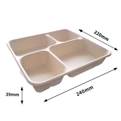 China Modern Biodegradable Compostable Sugar Cane Pulp 4 Compartment Shallow Store for sale