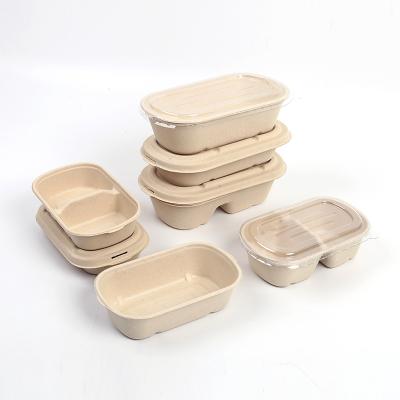 China Modern Sugarcane Bento Packaging Box Biodegradable Food Disposable Packaging Containers for sale