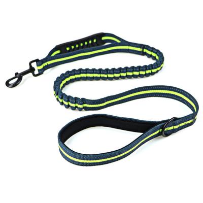 China 2022 Personalized Pet Double Hand Strong And Durable Leash For Large Dogs With Reflective Night for sale