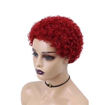 China Short Curly Brazilian Pixie Cut Lace Wig With Bangs Short Hair Wigs For Black Women Brazilian Pixie Cut Human Hair Wigs for sale