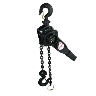 China Hot Selling Lifting Chain Block High Quality 3t1.5m 0.75t Lifting Chain Puller Ratchet Chain Hoist Heavy Duty Manual Lever 9ton Chain Supplied for sale