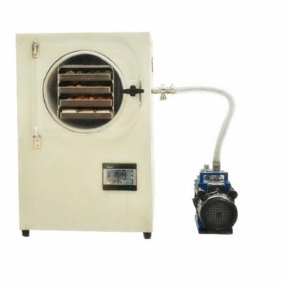 China 220V/380V Fruit Lyophilizer/Cold Air Dryer/Freeze Drying Machine Dryer for sale