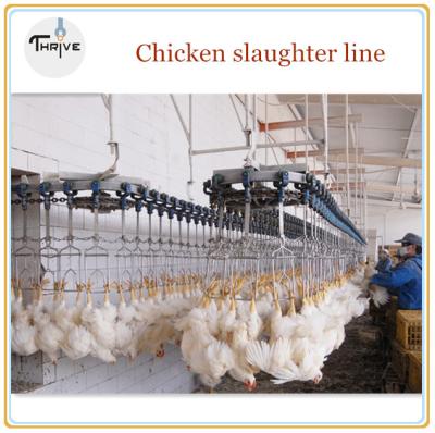 中国 A whole line for chicken killing machine/stainless steel machine for killing chicken 販売のため