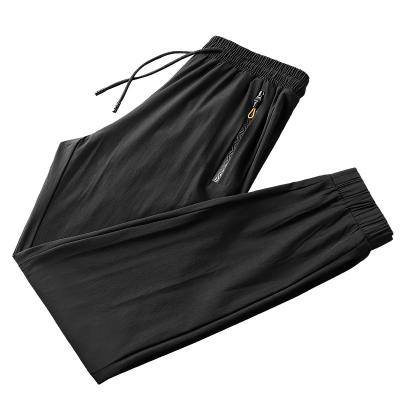 China Best Price Hot Selling Anti-wrinkle Sporting Formal Work Exercising Handsome And Slim Cooling Jogger Pants For Men for sale