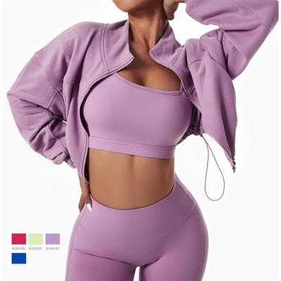 China Breathable Zipper Tracksuit Sexy High Waist Workout Set Active Wear Sports Bra Jacket Gaiters Yoga Sets Long Sleeve Women 4 Piece Yoga Set for sale