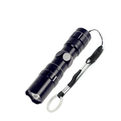 China Mini LED Camping Torch Head Packing Chain Flashlight Promotional Cheap Portable Keychain Gift Box for sale