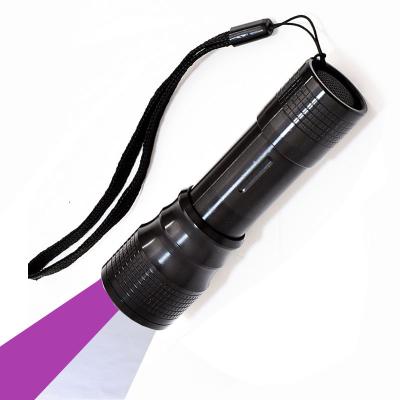 China Emergency 3 Modes 5W Mini Pocket Size LED UV Torch 2 in 1 Torch UV Black Light Flashlight with High Lumen for Pets Urine and Stains for sale