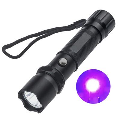 China Emergency Pet Urine Detector UV Flashlight AC/DC 365nm 395nm LED Rechargeable UV Flashlight For Urine Stains Scorpion Insect for sale