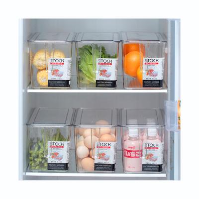 China Wholesale Clear Plastic Storage Box Home Refrigerator Food Airtight Organizer Fresh Keeping Kitchen Home Fridge Container With Handle for sale