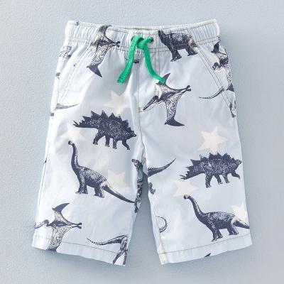 China Anti-pilling New Pants Designs Custom Brand Dinosaur Printing Wide Leg Pants For Boys for sale