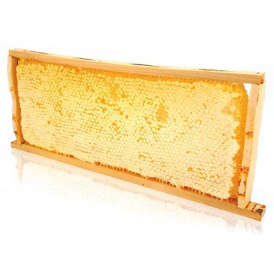 China Plant Nutrition 100% Raw Natural Comb Honey 500g for sale