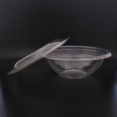 China 1000ml Disposable 32oz Disposable PET Salad Bowl Plastic Clear Fruit Container With Round Lid for sale