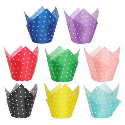 China Tulip Cupcake Liners Disposable 200 Pcs Polka Dot Baking Cups Premium Greaseproof Paper Roll Liners for Wedding Baby Party Standard Size for sale