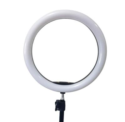 China Brightness 10 Inch LED Ring Light 2900-5600k Adjustable Desktop for Live Stream Beauty Facial Make for sale