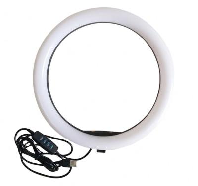 China Adjustable Brightness 10 LED Ring Light Thumb For Live Stream Beauty Facial Make Up Desktop USB Charging for sale