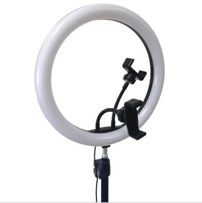 China 2020 Pretty New Hot Selling Tiktok Adjustable Shine 12 14 16 Circle Ring Selfie Led Photographic Light 18 Inch Tripod Stand For Studio Use for sale