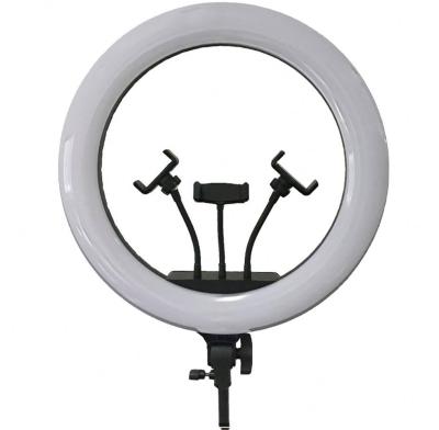 China Adjustable Shine Selfie Led Ring Light with Tripod and Stand 3200K/5500+300K for Live Stream /Makeup/YouTube Video for sale