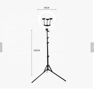 China Adjustable Glow YouTube TikTok Mobile Phone Tripod Stand LED Selfie Ring Light with 18 Inch Sufficiency Light Beauty Tripod Stand for sale