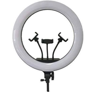 China Hot Sale 18inch Video Ring Light 3200K/5500+300K Dimmable Beauty Adjustable Brightness for sale