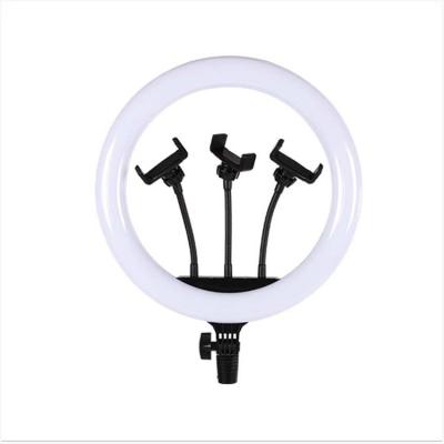 China Hot Selling Adjustable Shine 14 Inch Led Ring Light Dimmable Photography LED Light Makeup With Stand for sale