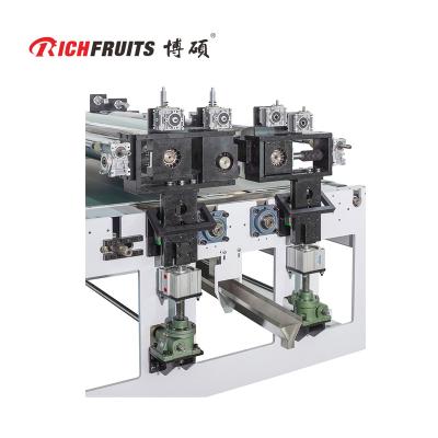 China Furniture making/WPC polishing high precision and factory price Makingwooden Richfruits Furniture Stability Boards Automatic UV Roller Coating Production Line for sale