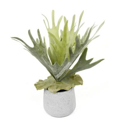 China Big sale minimalist succulent artificial platycerium plant plastic flower for wall decoration for sale