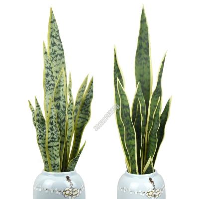 China New desktop style cheap plastic sansevieria plant artificial snake plant for pot decoration for sale