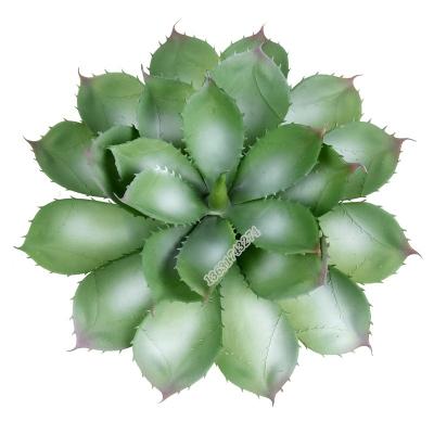 China Plant Minimalist Plastic Aloe Vera Artificial Succulent Agave Plant 36cm Tall For Garden Decoration for sale