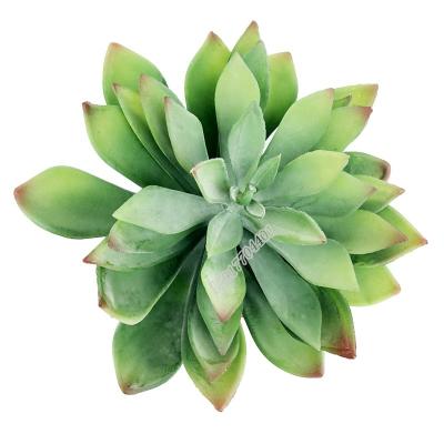 China Sale Plant Minimalist Plastic Artificial Succulent Flower Large Plant ssisal agave for decoracion for sale