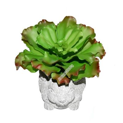 China Minimalist Real Touch Plastic Plant Large Artificial Echeveria Succulent For Pot Decoration for sale