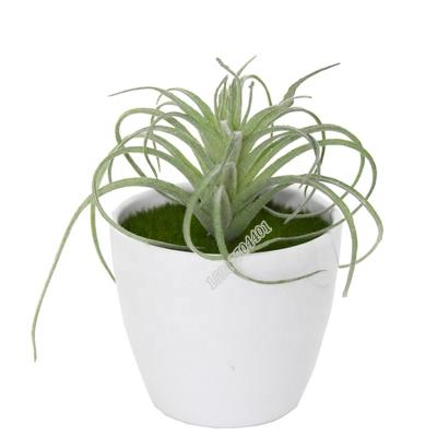 China Sale Rustic Plastic Fake Tillandsia Succulent Grass Plant Artificial Plants For Home Decoration for sale