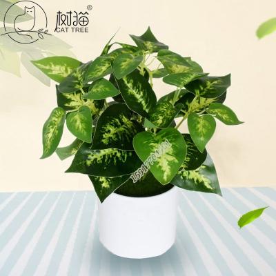 China Cheap rustic ornamental plants and lifelike fake aglaonema artificial plant for wall decoration for sale