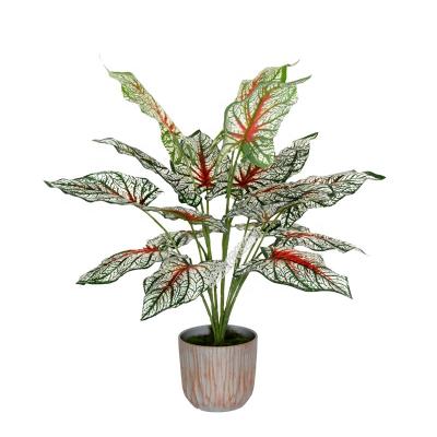 China Real contact factory sale cheap and high quality artificial plant bonsai red caladium for decoration for sale