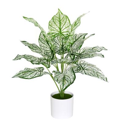 China High Quality Real Touch Plant Fake Flower Artificial Bonsai Plant White Caladium For Decoration for sale