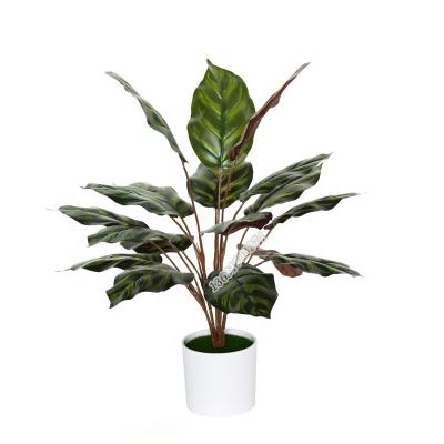 China Wholesale Cheap Red Calathea Plant Real Touch Fake Plant Artificial Leaves For Pot Decoration for sale