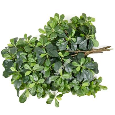 China Real Touch Realistic Fake Pittosporum Fake/Factory Realistic Wholesale Leaves Artificial Factory For Event Decoration for sale