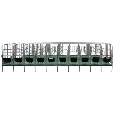 China Easy install 2.5 mm tube hot dip galvanized pig sow crate farrowing pen with cheap price for sale