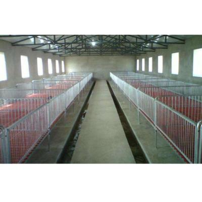 China Sow Farrowing Guaranteed Quality Automatic Chain Hog ​​Feeding System For Pig Farm House for sale