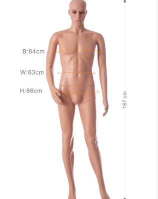 China Popular Maternity Plastic Life Size Full Body Female And Male Adult Mannequin for sale