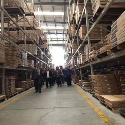 China HongLong Industrial Heavy Duty Steel Warehouse Pallet Storage Shelf Rack 2T for sale