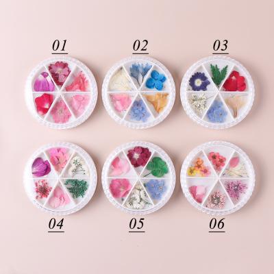 China Nail Art FREE SHIPPING 6 Colors Japapnese Mixed Accessories 3d Nail Art Sticker Nail Dried Flowers For Tips Manicure Decor for sale