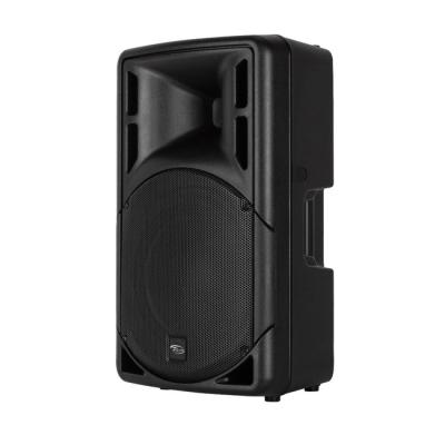 China 12/15 inch loudspeaker empty box available professional audio audio sound system empty plastic live show box/concert/nightclub 12 inch loudspeaker/loudspeaker cabinet bar speaker for sale