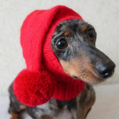 China Y-Z Small Mini Dachshund Wiener Dog Pet Viable Hat Dog Clothes Small Knitted Knit Dog Hat for sale