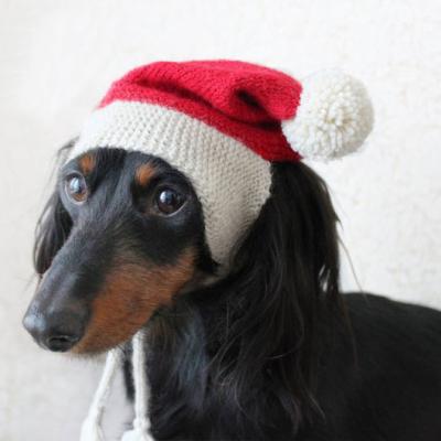 China Y-Z Santa Dog Hat Dachshund Santa Viable Little Dog Christmas Red and White Knitted Dog Hat for sale