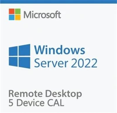 China Windows Server 2022extern bureaublad-services Cal - 5 Apparaat Cal Te koop