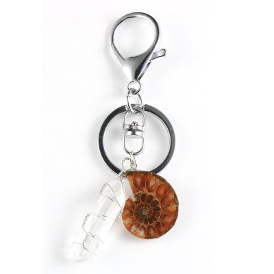 China 2022 White Women Girls Women Crystal Charm Keychain Keyrings For New Design Summer Beach Natural Stone Conch Daily Meeting/Party/Outdoor/Sport/Work for sale