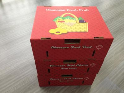 China Corrugated Board Fruit Carton Box for sale