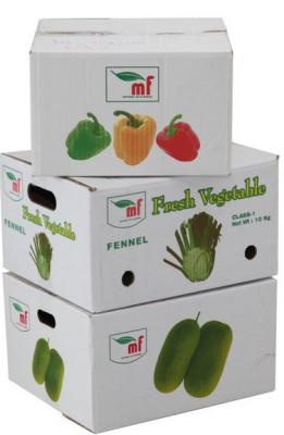 China Vegetable Packaging Box China Manufacturer for sale